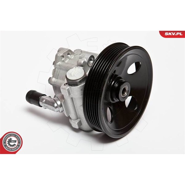 Servopump Esen skv 10SKV063 ESEN SKV Servopump Esen skv 10SKV063 ESEN SKV