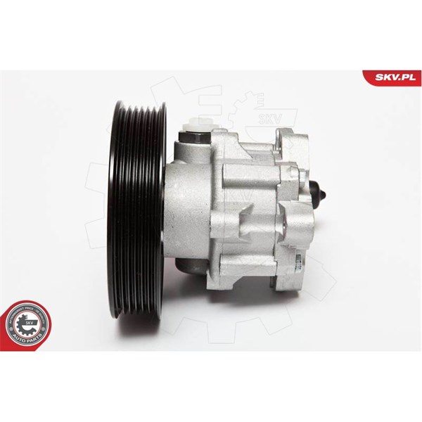 Servopump Esen skv 10SKV063 ESEN SKV Servopump Esen skv 10SKV063 ESEN SKV