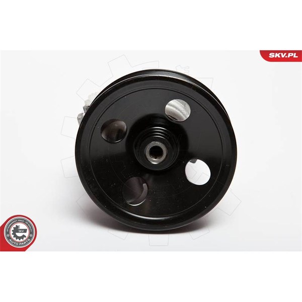 Servopump Esen skv 10SKV063 ESEN SKV