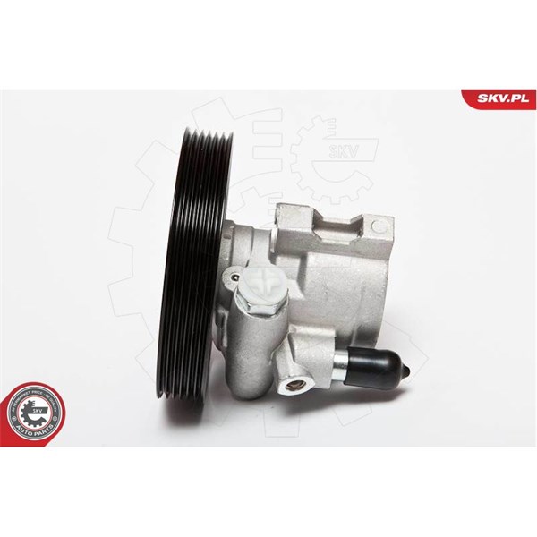 Servopump Esen skv 10SKV069 ESEN SKV Servopump Esen skv 10SKV069 ESEN SKV