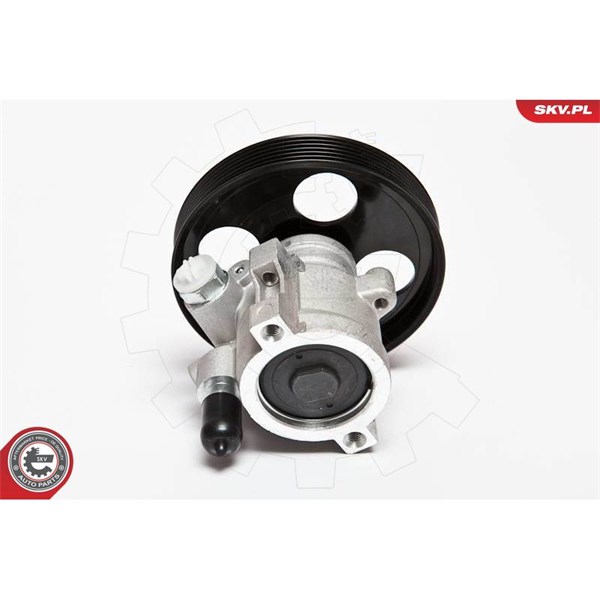 Servopump Esen skv 10SKV069 ESEN SKV