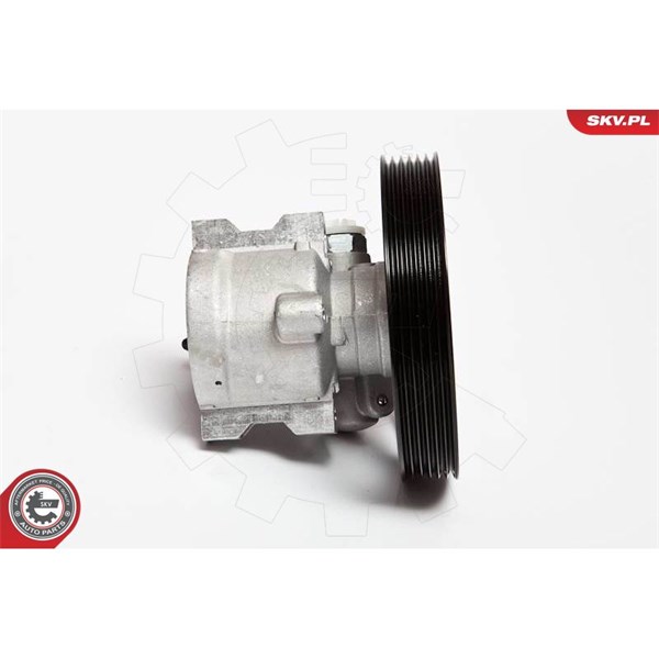 Servopump Esen skv 10SKV069 ESEN SKV Servopump Esen skv 10SKV069 ESEN SKV
