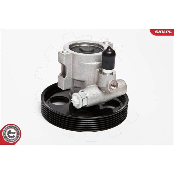 Servopump Esen skv 10SKV069 ESEN SKV Servopump Esen skv 10SKV069 ESEN SKV