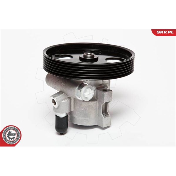 Servopump Esen skv 10SKV069 ESEN SKV