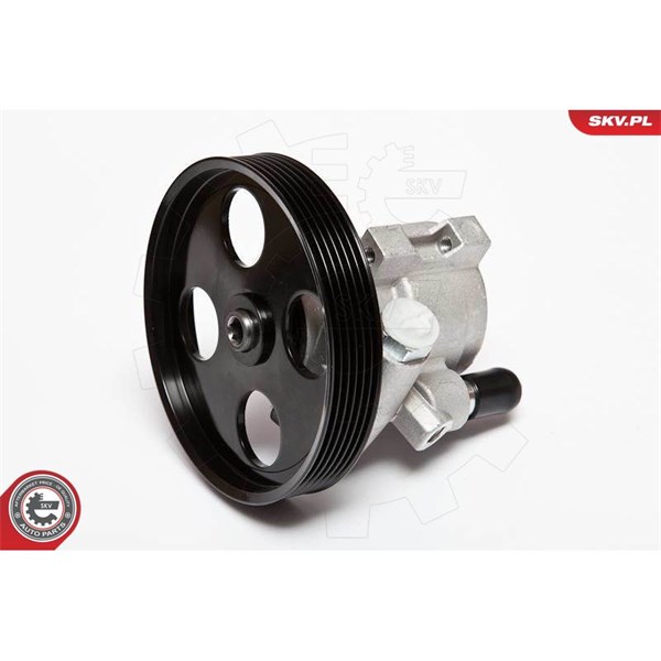Servopump Esen skv 10SKV069 ESEN SKV