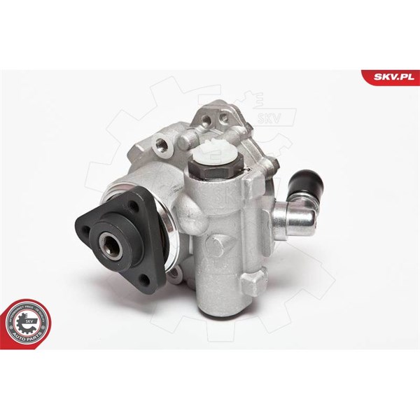 Servopump Esen skv 10SKV072 ESEN SKV