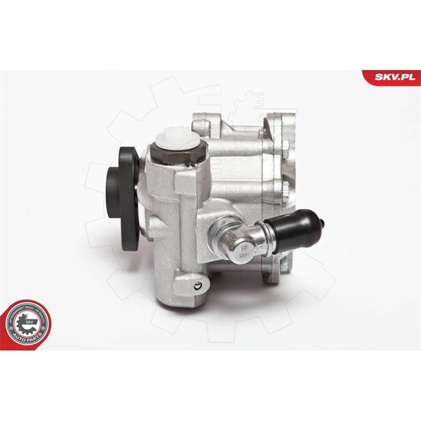Servopump Esen skv 10SKV072 ESEN SKV Servopump Esen skv 10SKV072 ESEN SKV