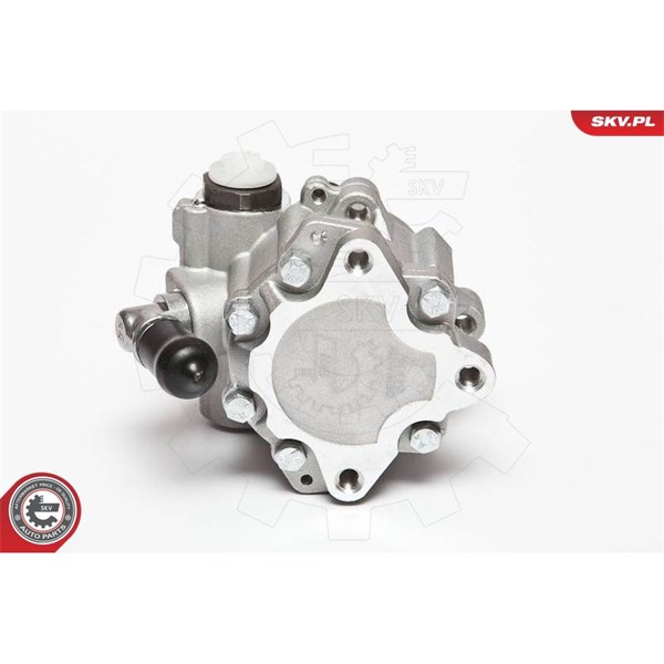 Servopump Esen skv 10SKV072 ESEN SKV