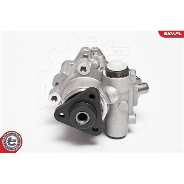 Servopump Esen skv 10SKV072 ESEN SKV