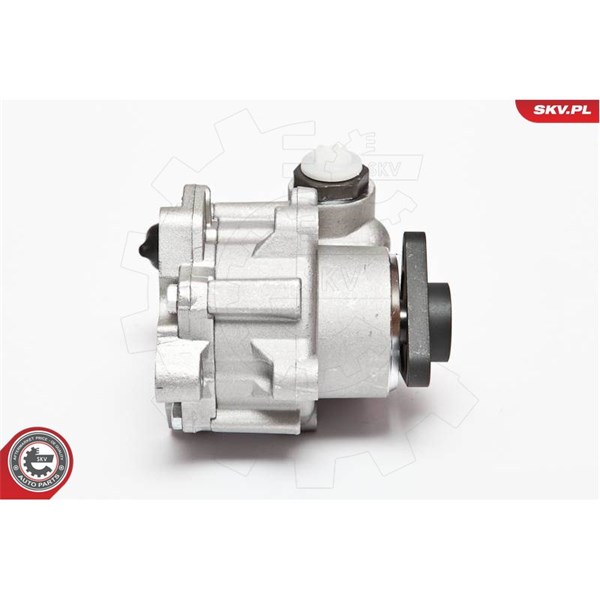Servopump Esen skv 10SKV072 ESEN SKV Servopump Esen skv 10SKV072 ESEN SKV