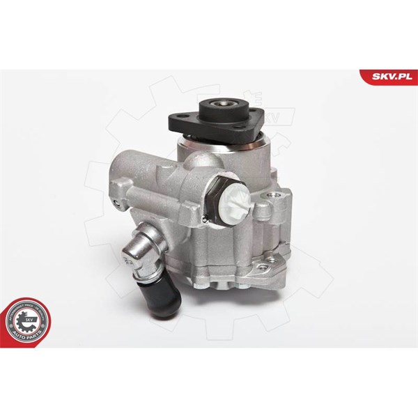 Servopump Esen skv 10SKV072 ESEN SKV Servopump Esen skv 10SKV072 ESEN SKV