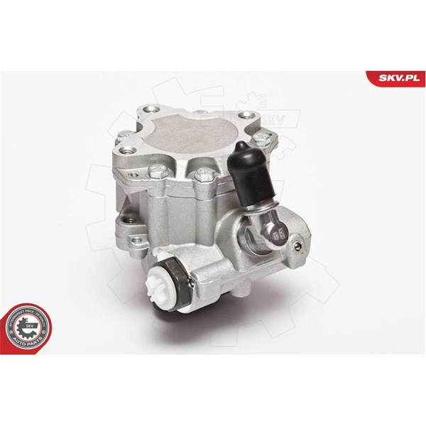Servopump Esen skv 10SKV072 ESEN SKV Servopump Esen skv 10SKV072 ESEN SKV