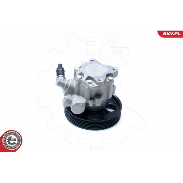 Servopump Esen skv 10SKV073 ESEN SKV