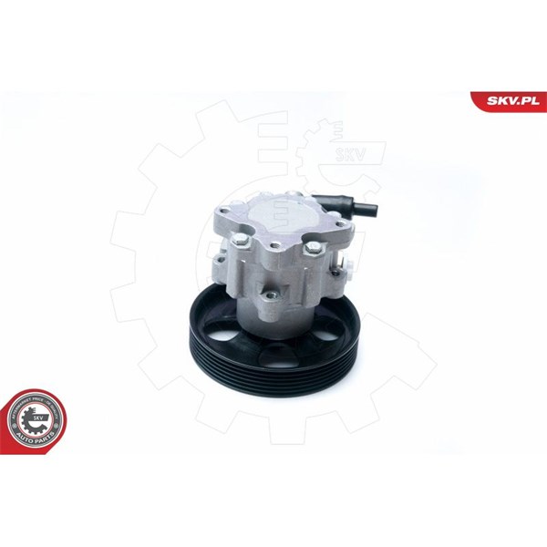 Servopump Esen skv 10SKV073 ESEN SKV