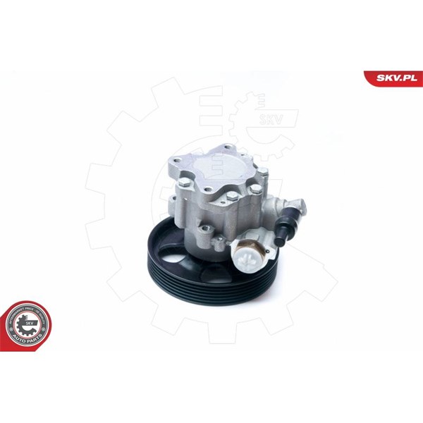Servopump Esen skv 10SKV073 ESEN SKV