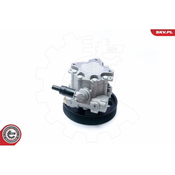 Servopump Esen skv 10SKV073 ESEN SKV