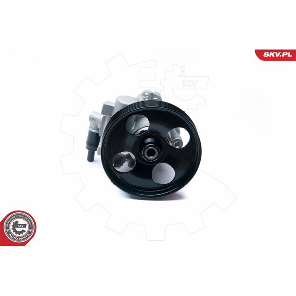 Servopump Esen skv 10SKV073 ESEN SKV