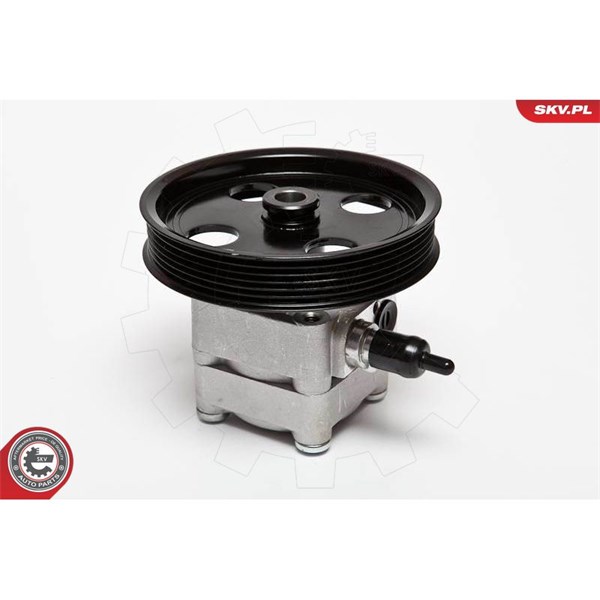 Servopump Esen skv 10SKV074 ESEN SKV