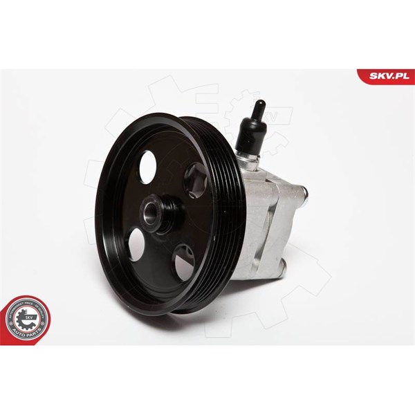 Servopump Esen skv 10SKV074 ESEN SKV