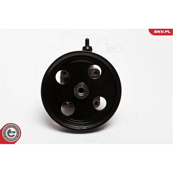 Servopump Esen skv 10SKV074 ESEN SKV