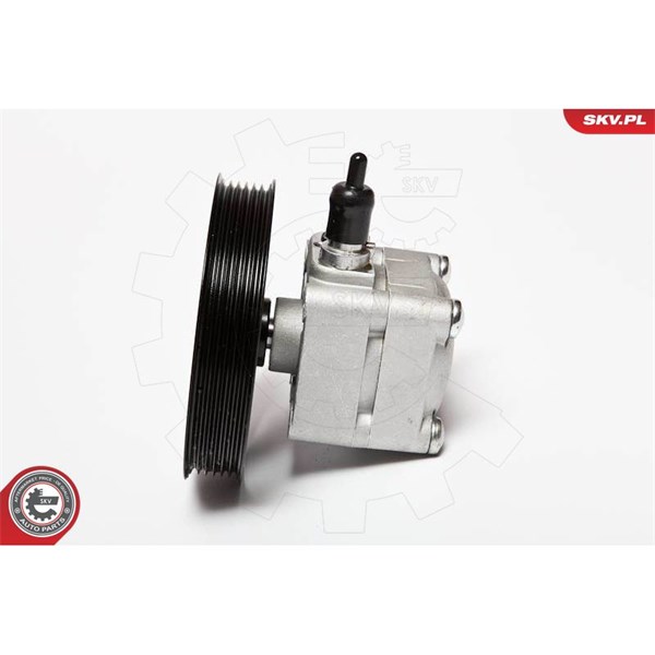 Servopump Esen skv 10SKV074 ESEN SKV