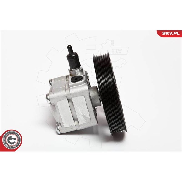 Servopump Esen skv 10SKV074 ESEN SKV