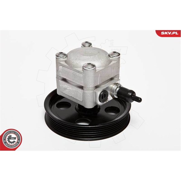 Servopump Esen skv 10SKV074 ESEN SKV