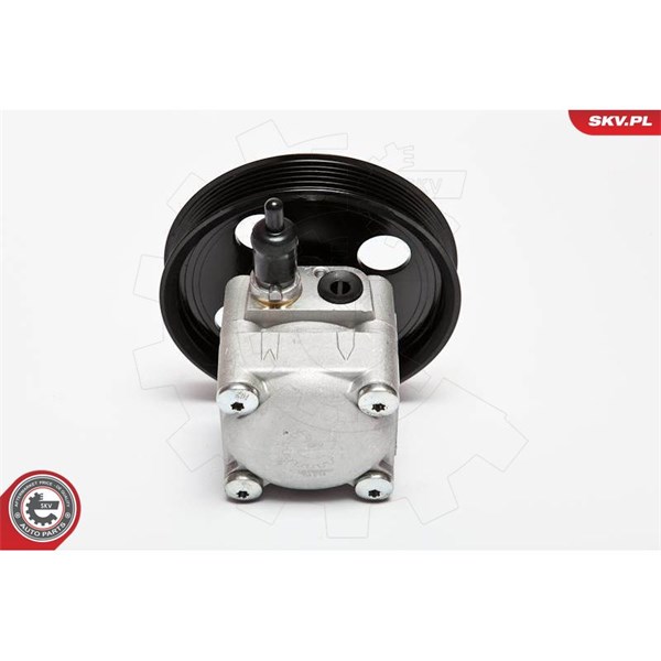 Servopump Esen skv 10SKV074 ESEN SKV