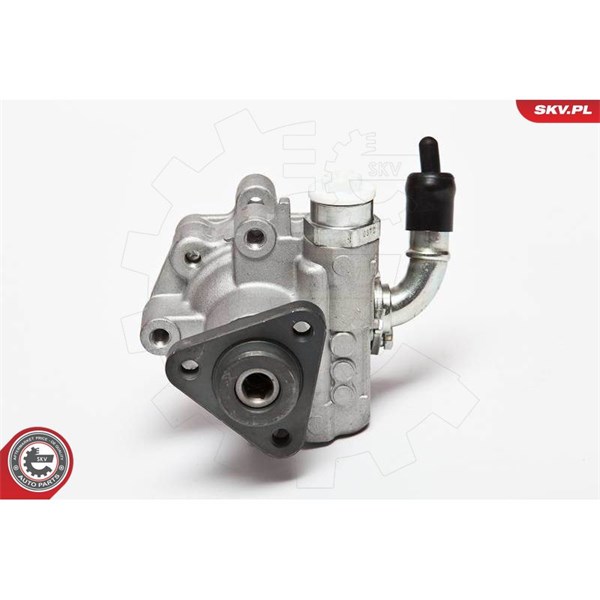 Servopump Esen skv 10SKV075 ESEN SKV