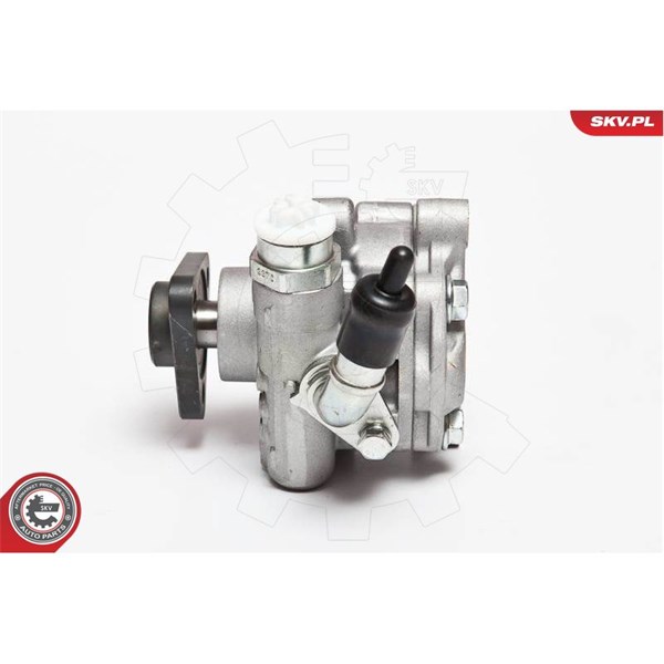 Servopump Esen skv 10SKV075 ESEN SKV