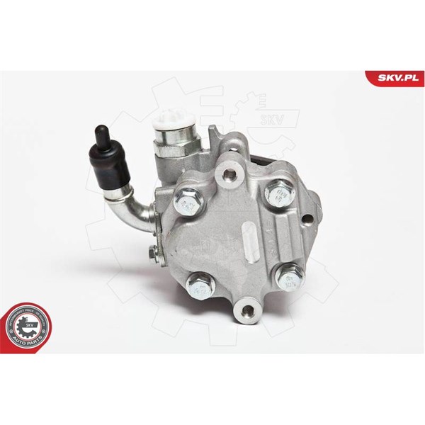 Servopump Esen skv 10SKV075 ESEN SKV