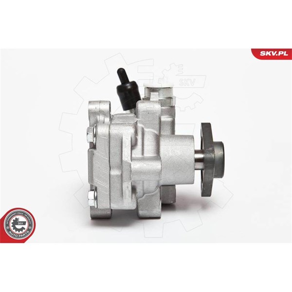 Servopump Esen skv 10SKV075 ESEN SKV