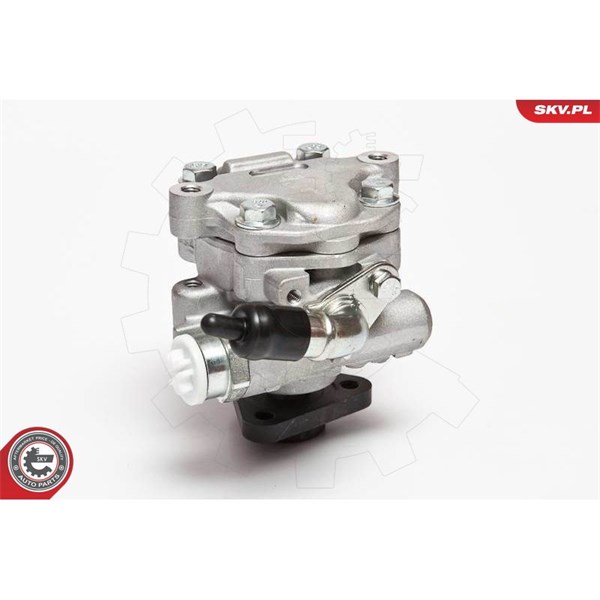 Servopump Esen skv 10SKV075 ESEN SKV