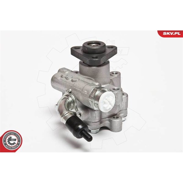 Servopump Esen skv 10SKV075 ESEN SKV