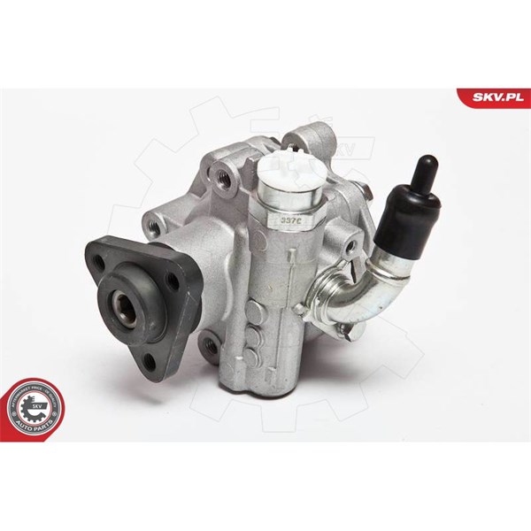 Servopump Esen skv 10SKV075 ESEN SKV