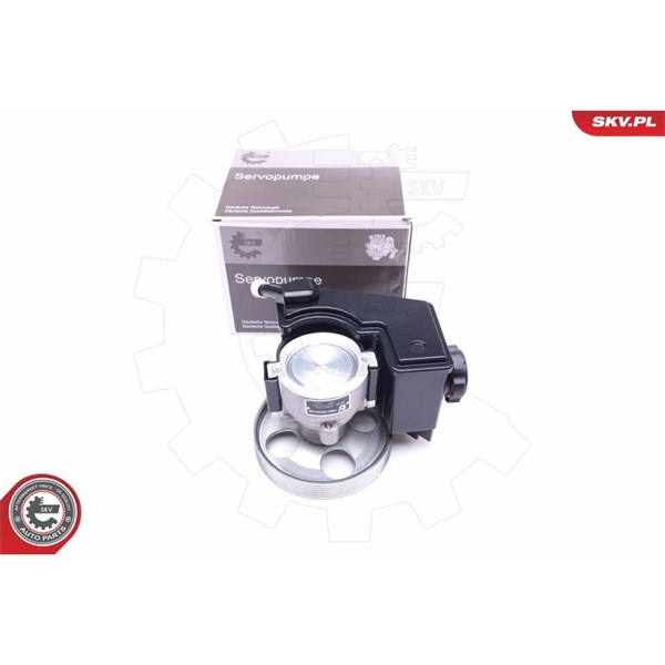 Servopump Esen skv 10SKV079 ESEN SKV