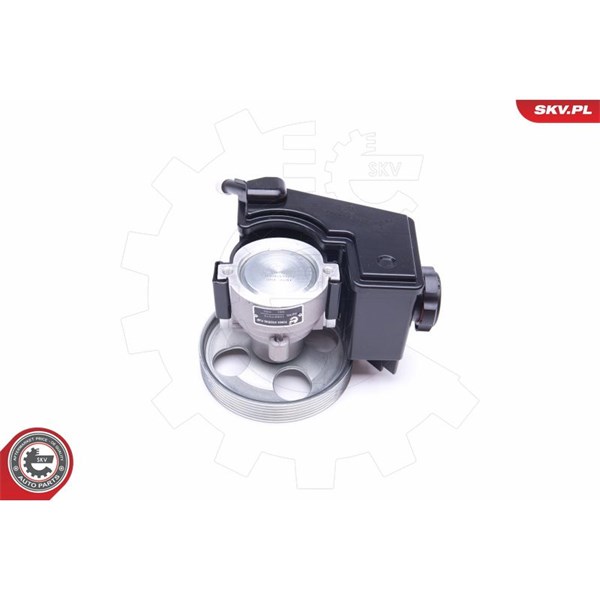 Servopump Esen skv 10SKV079 ESEN SKV