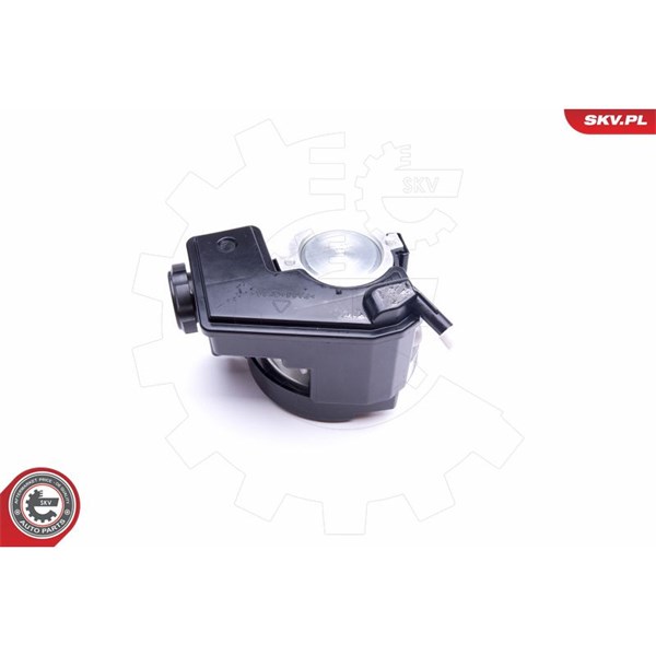 Servopump Esen skv 10SKV079 ESEN SKV