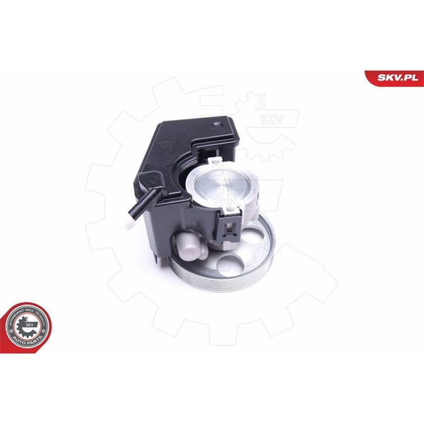 Servopump Esen skv 10SKV079 ESEN SKV