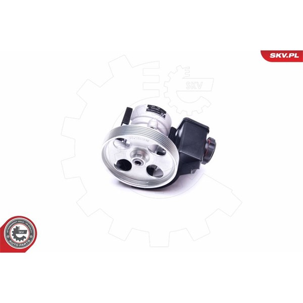Servopump Esen skv 10SKV079 ESEN SKV