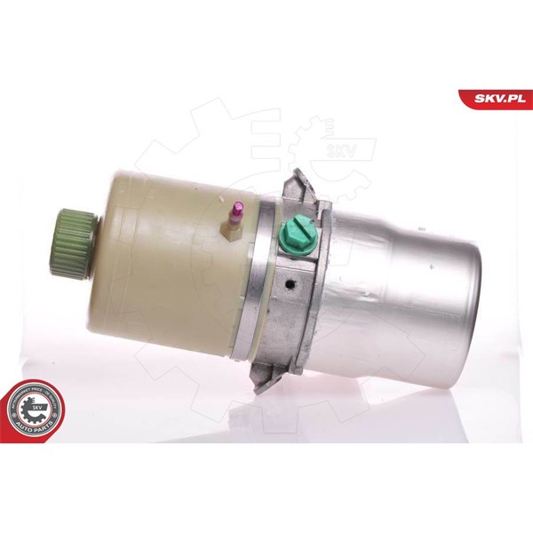 Servopump Esen skv 10SKV081 ESEN SKV