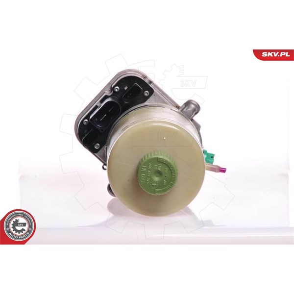Servopump Esen skv 10SKV081 ESEN SKV