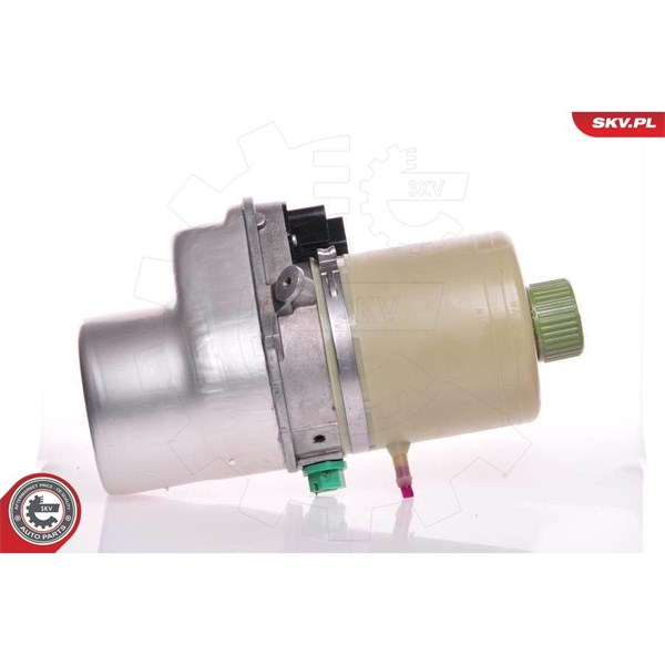 Servopump Esen skv 10SKV081 ESEN SKV