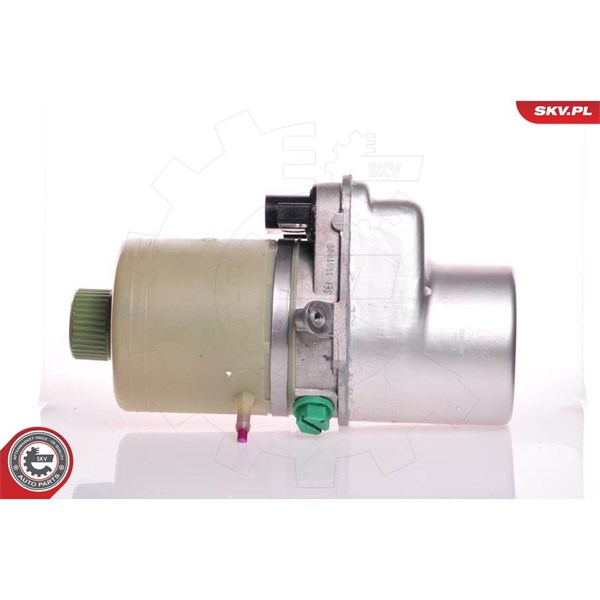 Servopump Esen skv 10SKV081 ESEN SKV