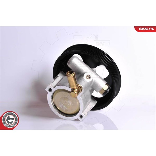 Servopump Esen skv 10SKV083 ESEN SKV
