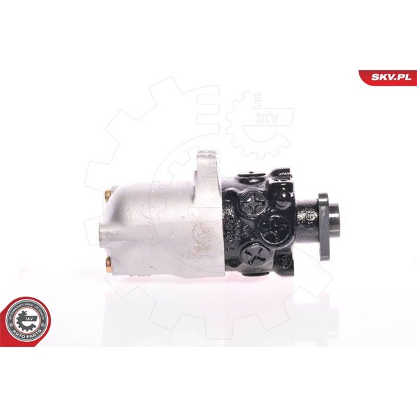 Servopump Esen skv 10SKV084 ESEN SKV