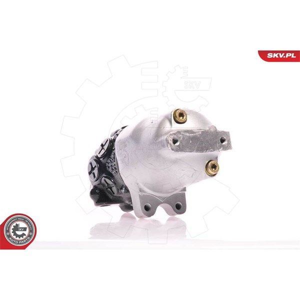 Servopump Esen skv 10SKV084 ESEN SKV