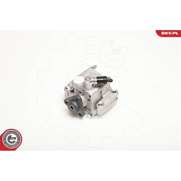 Servopump Esen skv 10SKV088 ESEN SKV