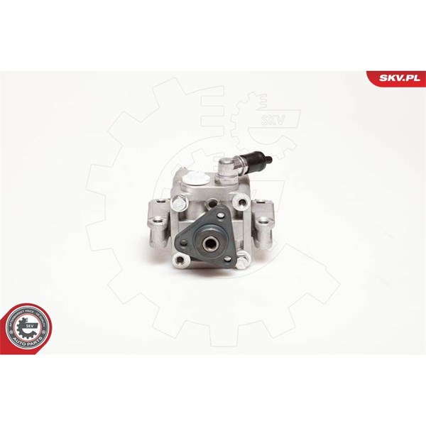 Servopump Esen skv 10SKV088 ESEN SKV