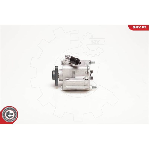 Servopump Esen skv 10SKV088 ESEN SKV